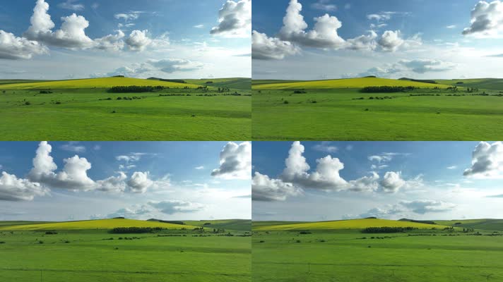 航怕丘陵山地农田油菜花田 