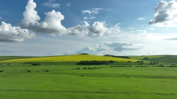 航怕丘陵山地农田油菜花田 