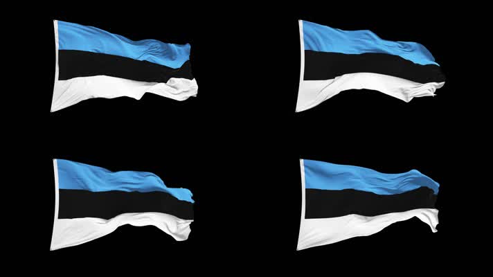 爱沙尼亚国旗Alpha Channel