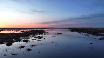草原晨曦静静的湿地风景