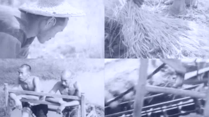 20年代农村农民插秧水车艰苦生活破衣烂衫