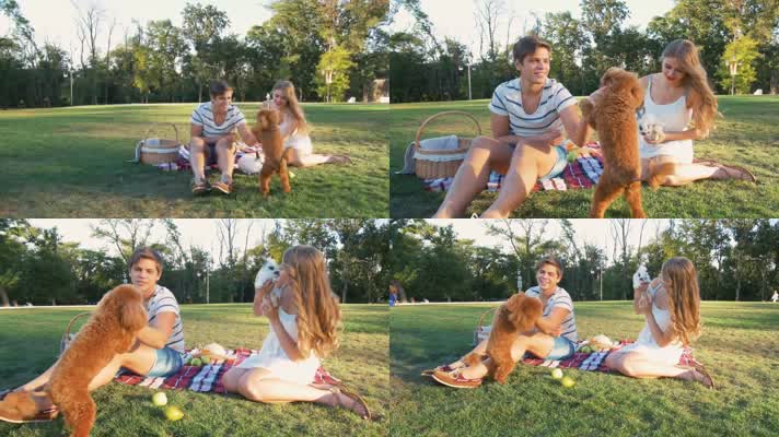 快乐的年轻夫妇、情侣在野餐休息玩狗和兔子