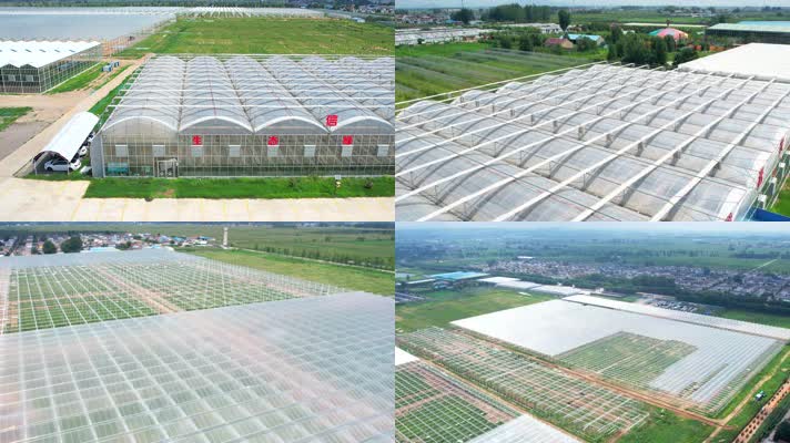 生态草莓工厂 信华新格林 航拍大棚 农业