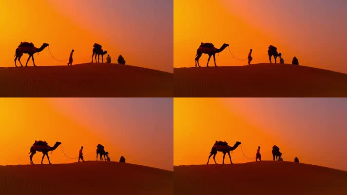 日落黄昏沙漠中的骆驼