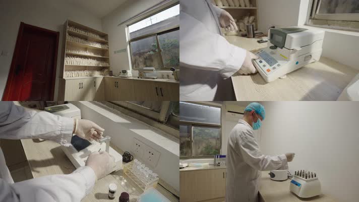 大米重金属及外观检测