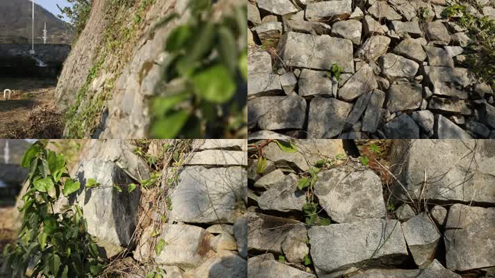 J浙江温州苍南蒲城岩石3