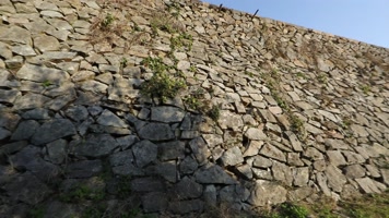 J浙江温州苍南蒲城岩石2