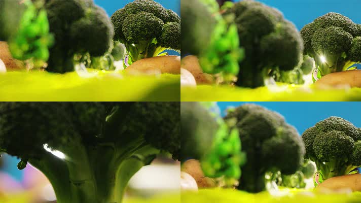 西兰花树林丁达尔光