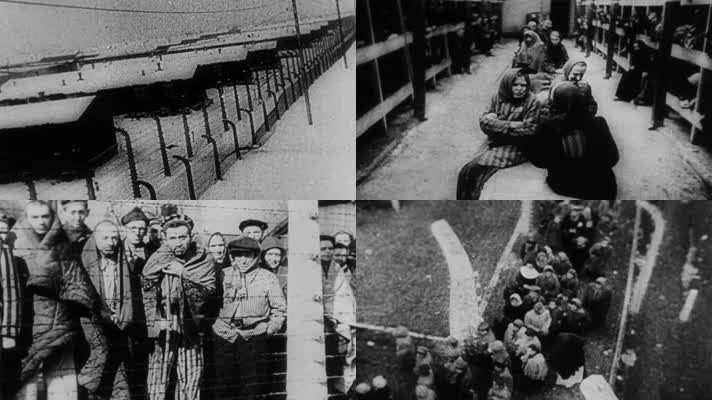 奥斯维辛集中营犹太人种族屠杀毒气室枪决枪