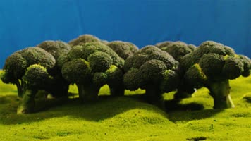 西兰花森林山坡小路创意景观