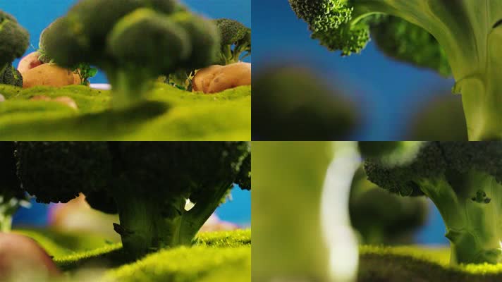 西兰花森林蔬菜微缩景观