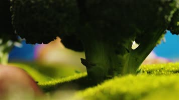 西兰花森林蔬菜微缩景观