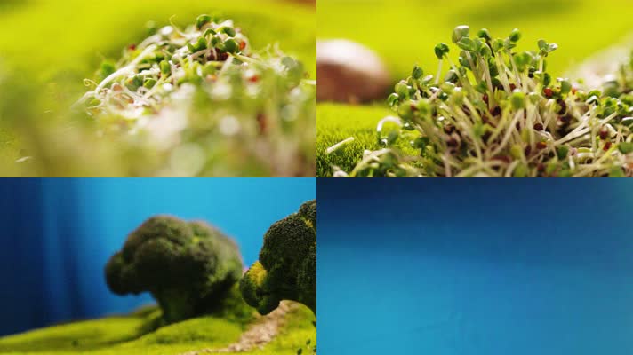 豆芽蘑菇西兰花树创意景观