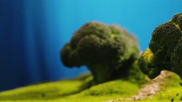 豆芽蘑菇西兰花树创意景观