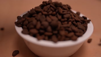 猫粮 宠物猫粮 倒猫粮升格 小猫食物 大 猫粮 宠物猫粮 倒猫粮升格 小猫食物 大