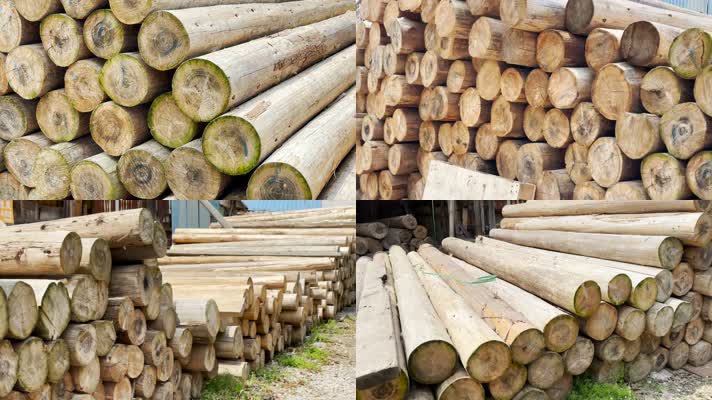 木材批发木料木材加工 树木 森林 木头 