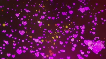 合成 7彩变色爱心 烂漫 节日 粉色爱心枫叶落叶 五叶枫叶树叶