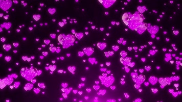 合成 7_1彩变色爱心 烂漫 节日 粉色爱心枫叶落叶 五叶枫叶树叶