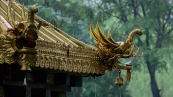 寺庙红墙亭台枝叶雨中 寺庙红墙亭台枝叶雨中