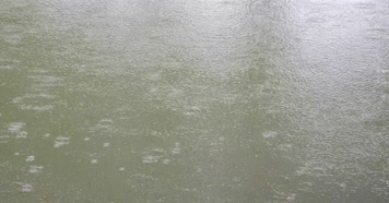 雨水 下雨 鱼塘 水塘 下雨天 雨点 雨滴 水边