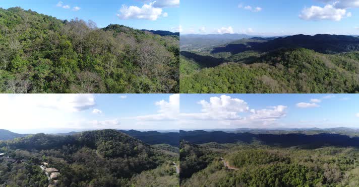 W云南普洱山林风景航拍4K