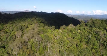 W云南普洱山林风景航拍4K02