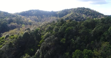 W云南普洱山林风景航拍4K03