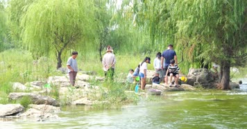 水 河水 溪水 溪流 海水 海浪 波浪 浪花 
