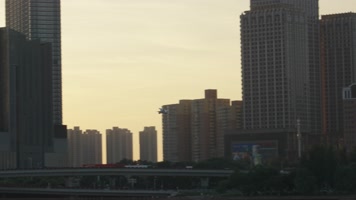 浑河上飞翔的白色的鸟