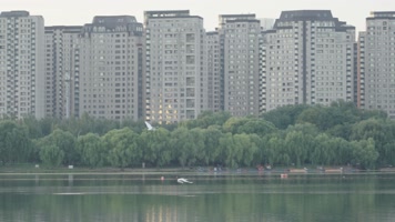 两只鸟在浑河水面上飞翔