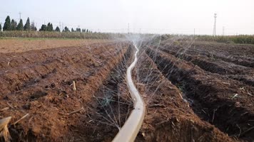 夏灌 农田水利 保丰收 丰收 农民 农村土地 田地 麦田 浇地 北方浇水 浇水 农业 水利 浇灌土豆