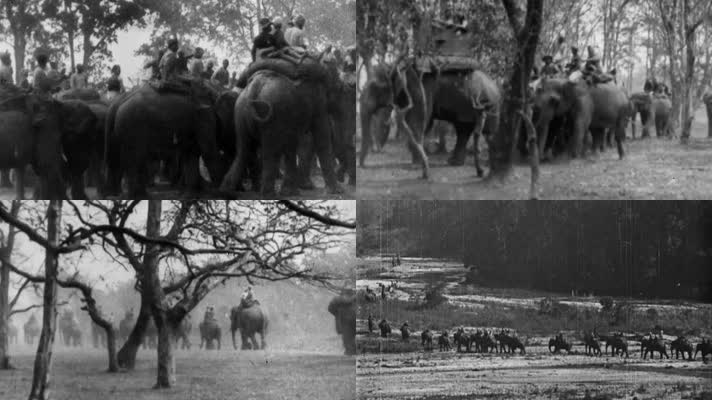 英国统治印度大象兵军队土邦土司