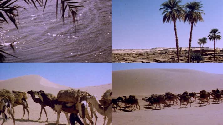 60年代沙漠隔壁荒漠驼队绿洲丝绸之路