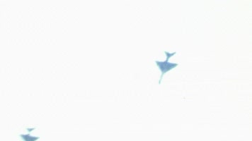 1966年云南歼7战斗机击落美军侦察机