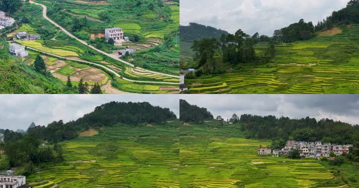 航拍广西靖西市巴泽梯田自然风光