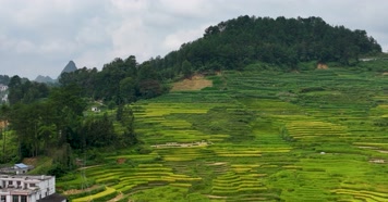 航拍广西靖西市巴泽梯田自然风光