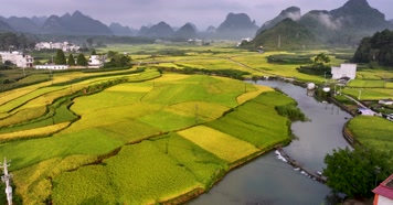 航拍广西靖西稻田乡村风光