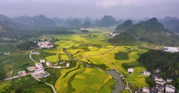 航拍广西靖西水稻田园自然风光