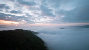 亲近自然生态森林清新意境光影宣传