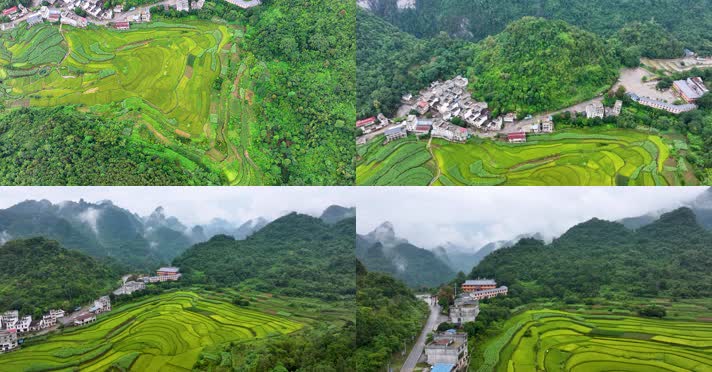 航拍广西靖西通灵峡谷稻田风光