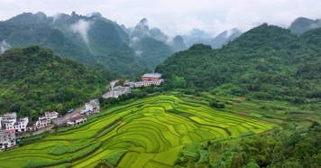 航拍广西靖西通灵峡谷稻田风光