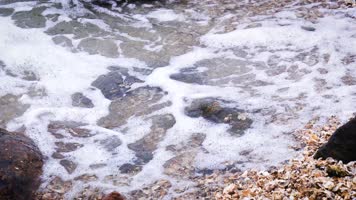 海鸥 大海 飞翔 飞鸟 海 海洋 海螺