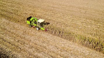 农业 农耕  收割 农作物 丰收节 玉米