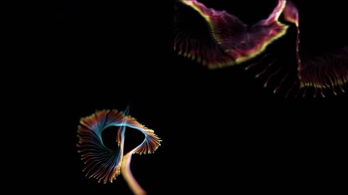 炫美粒子极光15款可叠加