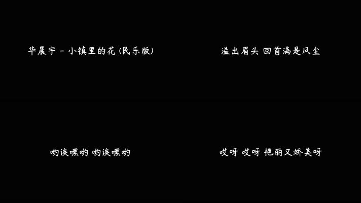 华晨宇 - 小镇里的花 (民乐版)（4K）