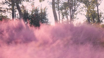 粉色童年 粉色童年