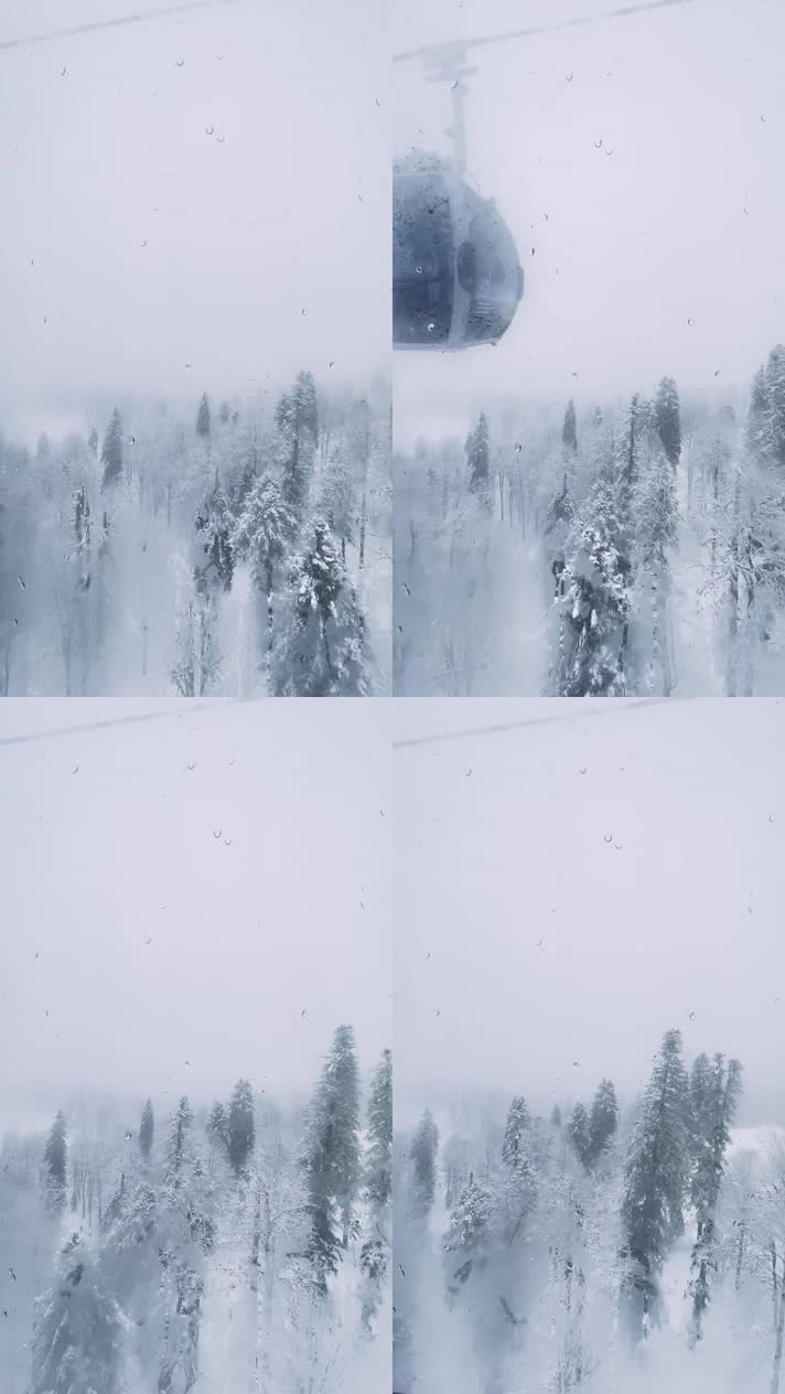 从缆车上俯瞰雪中的森林