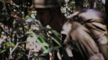 越南战争美军游骑兵德浪河谷战役