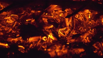 篝火木炭柴火燃烧火焰草木灰