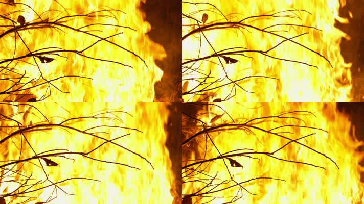 燃烧的篝火枯树枝火焰木炭
